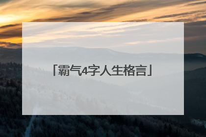 霸气4字人生格言