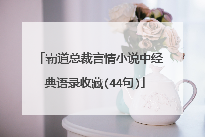 霸道总裁言情小说中经典语录收藏(44句)