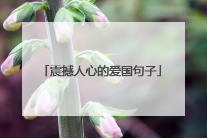 震撼人心的爱国句子