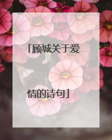 顾城关于爱情的诗句