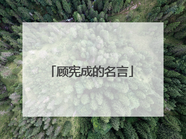 顾宪成的名言