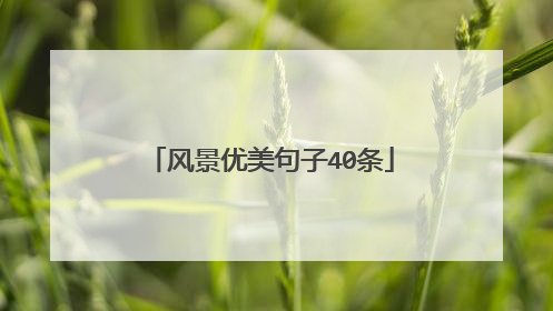 风景优美句子40条