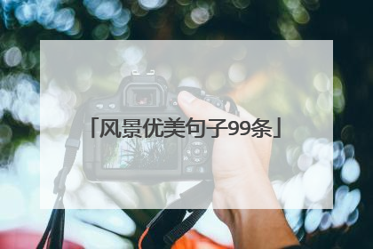 风景优美句子99条