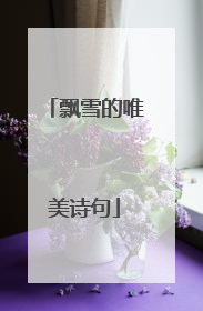 飘雪的唯美诗句