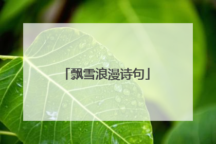 飘雪浪漫诗句