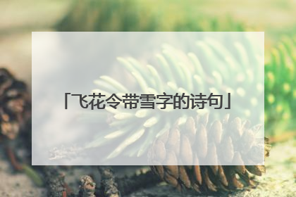 飞花令带雪字的诗句