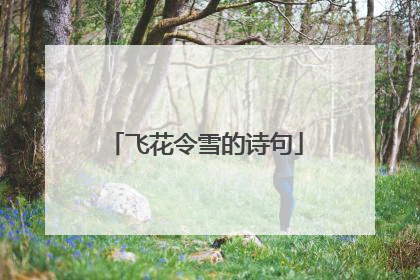 飞花令雪的诗句