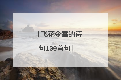 飞花令雪的诗句100首句