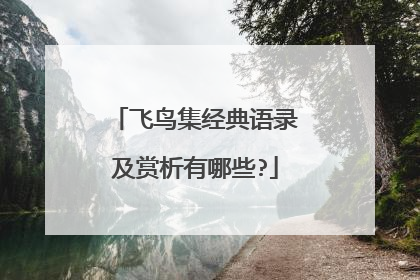 飞鸟集经典语录及赏析有哪些?