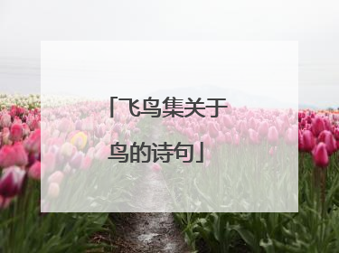 飞鸟集关于鸟的诗句