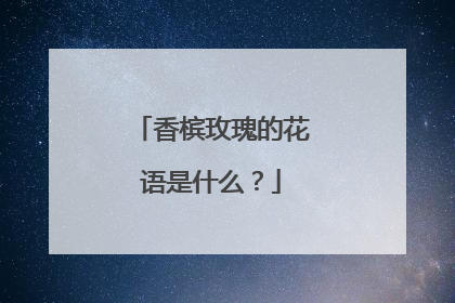香槟玫瑰的花语是什么?