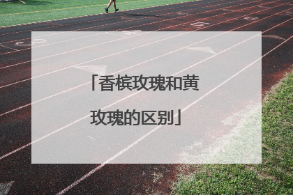 香槟玫瑰和黄玫瑰的区别
