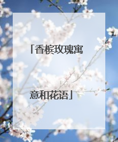 香槟玫瑰寓意和花语
