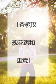 香槟玫瑰花语和寓意