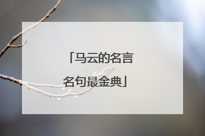 马云的名言名句最金典