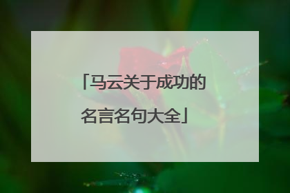 马云关于成功的名言名句大全