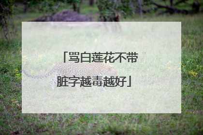 骂白莲花不带脏字越毒越好