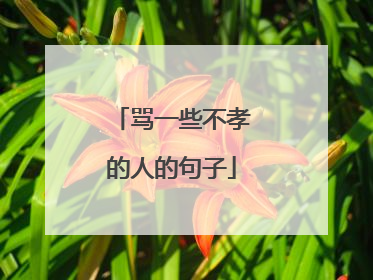 骂一些不孝的人的句子