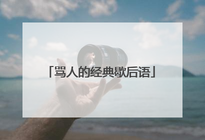 骂人的经典歇后语