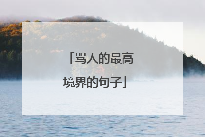 骂人的最高境界的句子