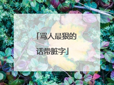 骂人最狠的话带脏字