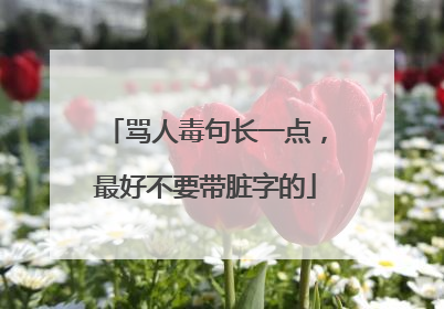 骂人毒句长一点,最好不要带脏字的