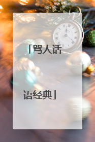 骂人话语经典