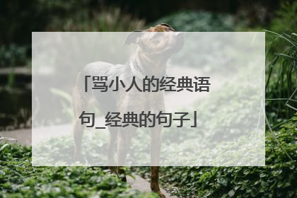 骂小人的经典语句_经典的句子