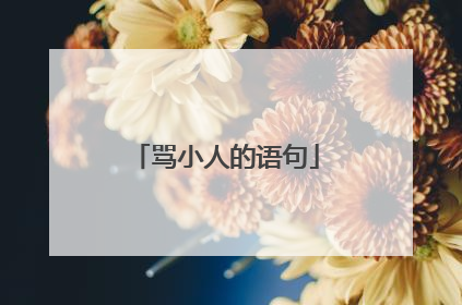 骂小人的语句