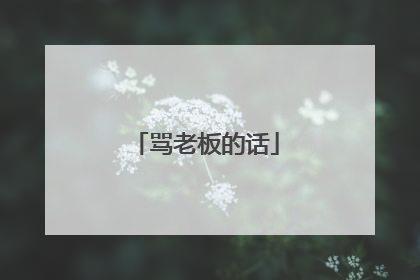 骂老板的话