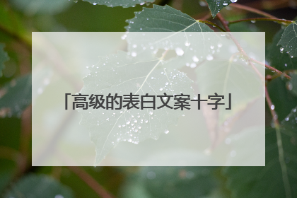 高级的表白文案十字