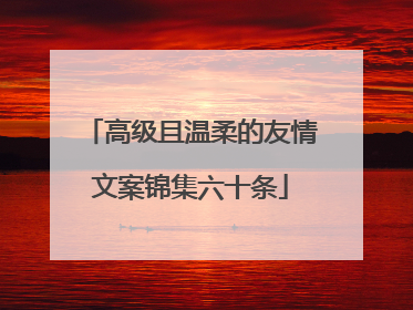 高级且温柔的友情文案锦集六十条