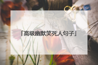 高级幽默笑死人句子