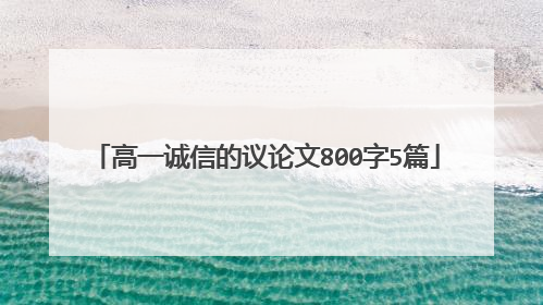 高一诚信的议论文800字5篇
