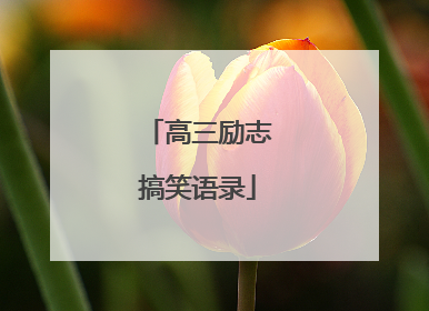 高三励志搞笑语录