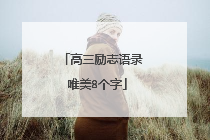 高三励志语录唯美8个字