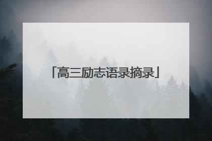 高三励志语录摘录