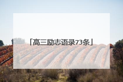 高三励志语录73条