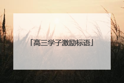 高三学子激励标语