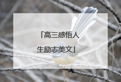 高三感悟人生励志美文