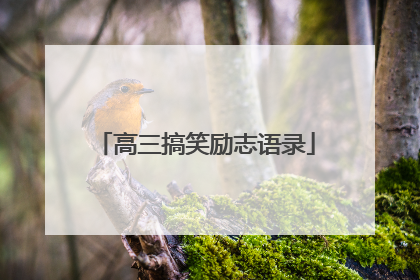 高三搞笑励志语录