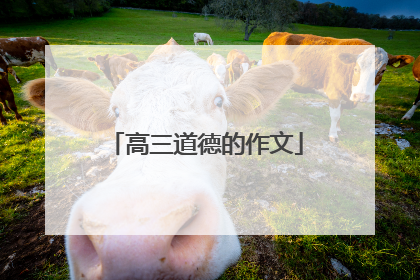 高三道德的作文