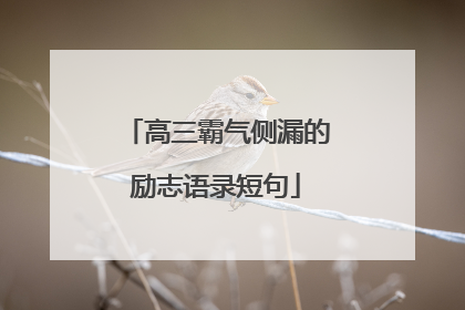 高三霸气侧漏的励志语录短句