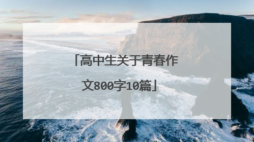 高中生关于青春作文800字10篇