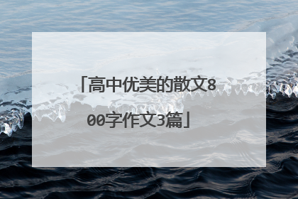 高中优美的散文800字作文3篇