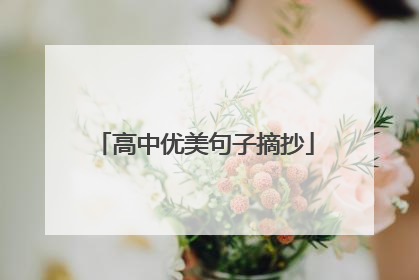 高中优美句子摘抄