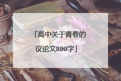 高中关于青春的议论文800字