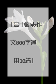 高中励志作文800字通用10篇