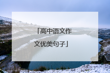 高中语文作文优美句子
