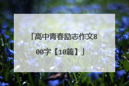 高中青春励志作文800字【10篇】